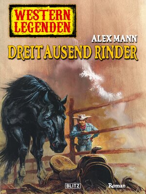 cover image of Western Legenden 27